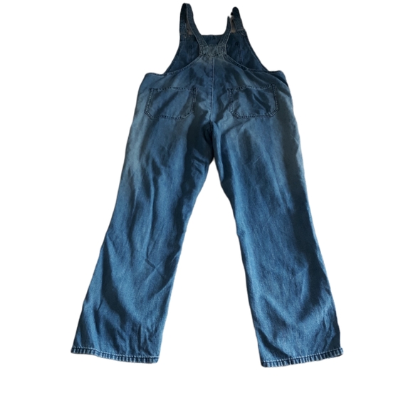 Madewell Distressed Jean Overalls - Picture 6 of 17